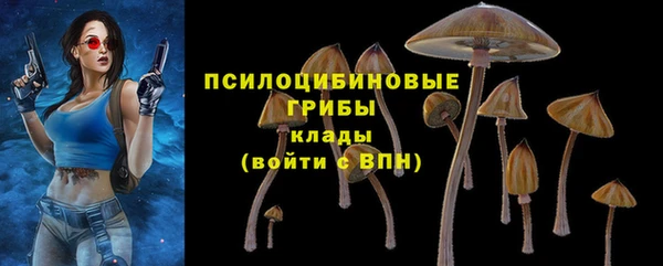 мяу мяу мука Алексеевка