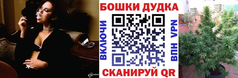 Канабис индика  Северская 
